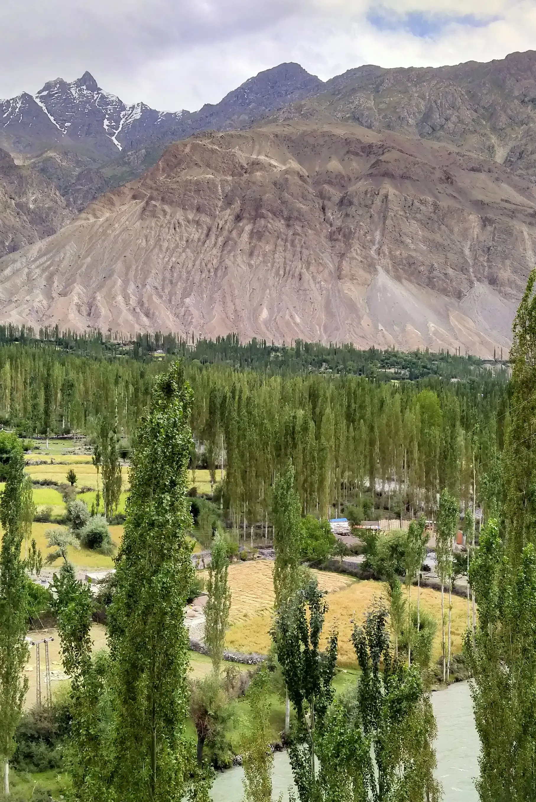 Autumn poplars along a river below snow-covered peaks in northern Pakistan.